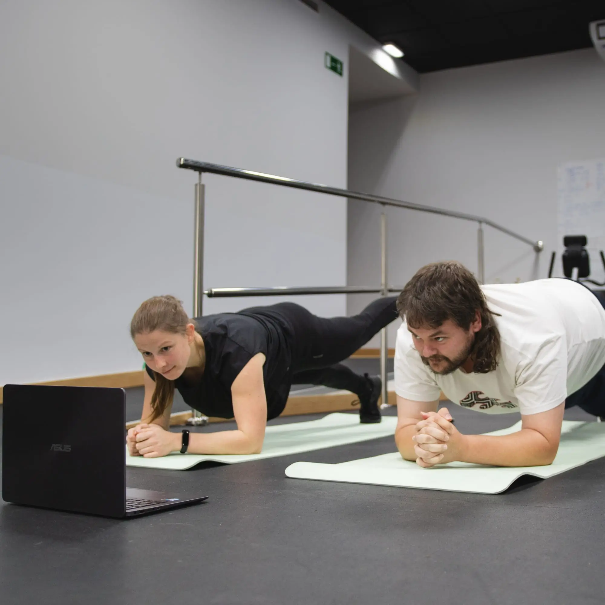 Entrenamiento Online